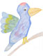 「きれいな鳥」